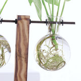 Maxbell 5 Pieces Vintage Wooden Stand Glass Hydroponic Vase Terrarium Container Ball