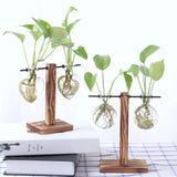 Maxbell 5 Pieces Vintage Wooden Stand Glass Hydroponic Vase Terrarium Container Ball