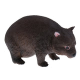 Maxbell Simulation Wildlife Wombat Animal Model Action Figures Toys Kid Educational Toy Home Office Collectibles Decoration