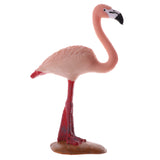 Maxbell Simulation Wildlife Jungle Flamingo Bird Animal Model Action Figures Toys Kid Educational Toy Home Office Collectibles Decoration - C