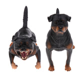 Maxbell 2 piece Lifelike Animal Model Figure Figurine Science Nature Toy Rottweiler