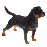 Maxbell 2 piece Lifelike Animal Model Figure Figurine Science Nature Toy Rottweiler