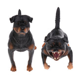 Maxbell 2 piece Lifelike Animal Model Figure Figurine Science Nature Toy Rottweiler