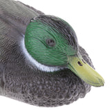 Maxbell 1 Pair Plastic Mallard Duck Decoy Floating Drake Duck Decoy for Hunting & Fishing