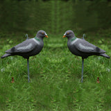 Maxbell 2Pcs Lifelike Pigeon Decoy Hunting Bait Trap Pest Control Garden Bird Scarer Scarecrow