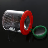 Maxbell 2 Pieces Insect Viewer Magnifying Box Neck Lanyard Garden Kids Outdoor Toys