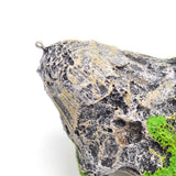 Maxbell Aquarium Ornament Stone Rock Artificial Water Plant Grass For Fish Tank Cave