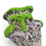Maxbell Aquarium Ornament Stone Rock Artificial Water Plant Grass For Fish Tank Cave