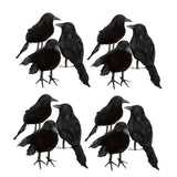 Maxbell 12 Pieces Artificial Black Feather Small Crows Birds Ravens Home House Halloween Decor