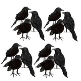 Maxbell 12 Pieces Artificial Black Feather Small Crows Birds Ravens Home House Halloween Decor