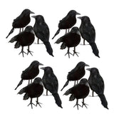 Maxbell 12 Pieces Artificial Black Feather Small Crows Birds Ravens Home House Halloween Decor