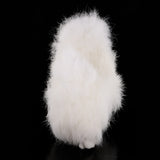 Maxbell Lifelike Plush Simulation Animal Model Realistic Dog for Home Ornament Desktop Decor Kid Toy Gift Collectibles