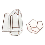 Maxbell 2 Pieces Glass Geometric Terrarium Succulent Plant Planter Jewelry Holder