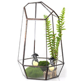 Maxbell 2 Pieces Glass Geometric Terrarium Succulent Plant Planter Jewelry Holder