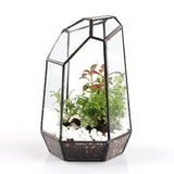 Maxbell 2 Pieces Glass Geometric Terrarium Succulent Plant Planter Jewelry Holder