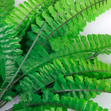 Maxbell Set of 3PCS Green Imitation Fern Plastic Artificial Grass Leaves Plant Home Wedding Table Centerpiece Decor Plants