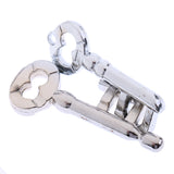 Maxbell Key Lock Puzzle Classic Metal Brain Teaser IQ EQ Test Toys for Kids Adults Children Birthday Funny Gift Silver