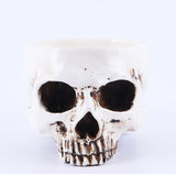 Maxbell 2Pieces Human Skull Head Design Flower Pot Planter Container Replica Home