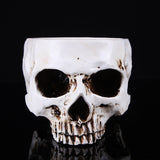 Maxbell 2Pieces Human Skull Head Design Flower Pot Planter Container Replica Home