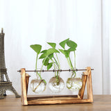 Maxbell 6 Pieces Retro Wooden Tray Hanging Clear Glass Flower Vase Hydroponic Container