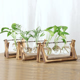 Maxbell 6 Pieces Retro Wooden Tray Hanging Clear Glass Flower Vase Hydroponic Container