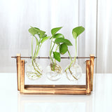 Maxbell 6 Pieces Retro Wooden Tray Hanging Clear Glass Flower Vase Hydroponic Container