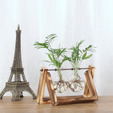 Maxbell 6 Pieces Retro Wooden Tray Hanging Clear Glass Flower Vase Hydroponic Container