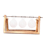 Maxbell 6 Pieces Retro Wooden Tray Hanging Clear Glass Flower Vase Hydroponic Container