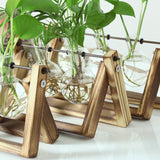 Maxbell 6 Pieces Retro Wooden Tray Hanging Clear Glass Flower Vase Hydroponic Container