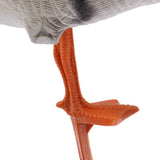 Maxbell 1 Pair Portable Full Body Goose Hunting Decoy Lawn Yard Decor Greenhand Gear