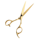 Maxbell 2 Pieces 6.5'' Professional Salon Hair Cutting Thinning Scissors Shears Hairdressing Set Stainless Steel Gold