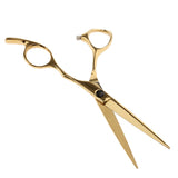 Maxbell 2 Pieces 6.5'' Professional Salon Hair Cutting Thinning Scissors Shears Hairdressing Set Stainless Steel Gold