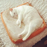 Maxbell 2 Piece Pet Fashion Soft Cat Bed Cushion Plush Bread Toast Small Dog Bed