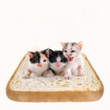 Maxbell 2 Piece Pet Fashion Soft Cat Bed Cushion Plush Bread Toast Small Dog Bed