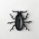 Maxbell 2Pcs Cute Silver Insect Cicida Bug Black Longicorn Brooch Pins for Women Men