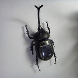 Maxbell Novelty Solar Beetle Sunshine Powered Insects Animals Model Kids Fun Toy