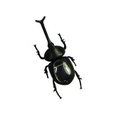 Maxbell Novelty Solar Beetle Sunshine Powered Insects Animals Model Kids Fun Toy