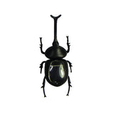 Maxbell Novelty Solar Beetle Sunshine Powered Insects Animals Model Kids Fun Toy