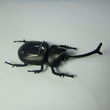 Maxbell Novelty Solar Beetle Sunshine Powered Insects Animals Model Kids Fun Toy