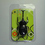 Maxbell Novelty Solar Beetle Sunshine Powered Insects Animals Model Kids Fun Toy