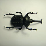 Maxbell Novelty Solar Beetle Sunshine Powered Insects Animals Model Kids Fun Toy