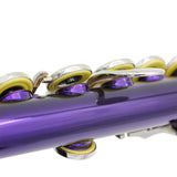 Maxbell 1 Pieces 16 Holes C Key Split E mechanism Purple Flute with 20 Pieces Key Hole Plugs Set