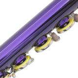 Maxbell 1 Pieces 16 Holes C Key Split E mechanism Purple Flute with 20 Pieces Key Hole Plugs Set