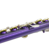 Maxbell 1 Pieces 16 Holes C Key Split E mechanism Purple Flute with 20 Pieces Key Hole Plugs Set