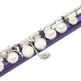 Maxbell 1 Pieces 16 Holes C Key Split E mechanism Purple Flute with 20 Pieces Key Hole Plugs Set