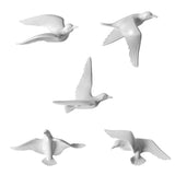 Maxbell 5Pcs Creative Resin Seagull Shaped Bedroom TV Background Wall Decorations White