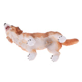 Maxbell Realistic PVC Animal Dog Model Action Figures Kids Toys Table Ornament