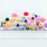 Maxbell 70 Pieces Mixed Resin Flatbacks Rose Flowers Cookies Cabochons Scrapbooking