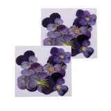 Maxbell 24 Pieces Pressed Violet Real Dried Flowers Embellishments for Craft DIY Nail Art Jewelry Making DIY Pendants Charms