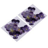 Maxbell 24 Pieces Pressed Violet Real Dried Flowers Embellishments for Craft DIY Nail Art Jewelry Making DIY Pendants Charms